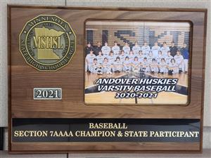 Baseball Section 7AAAA Champion and State Participant